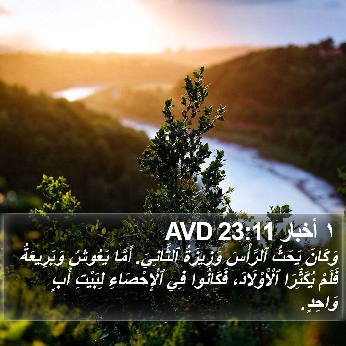 ١ أخبار 23:11 AVD Bible Study
