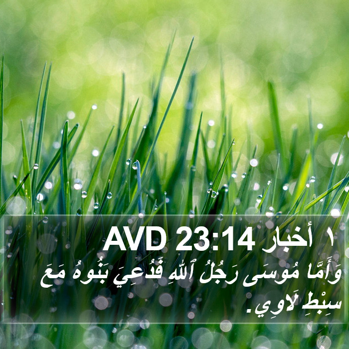 ١ أخبار 23:14 AVD Bible Study
