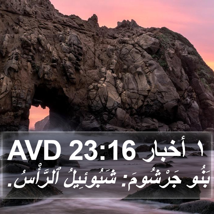١ أخبار 23:16 AVD Bible Study