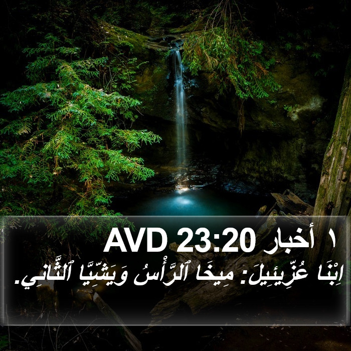 ١ أخبار 23:20 AVD Bible Study