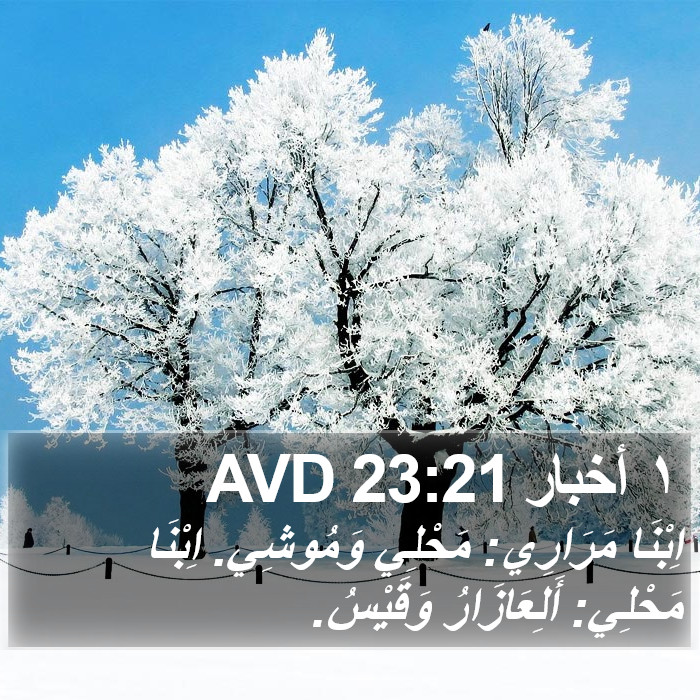 ١ أخبار 23:21 AVD Bible Study