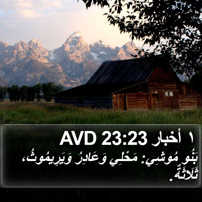 ١ أخبار 23:23 AVD Bible Study