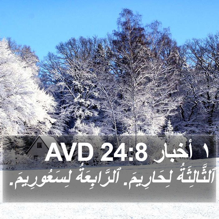 ١ أخبار 24:8 AVD Bible Study