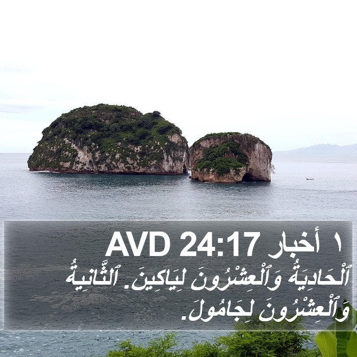 ١ أخبار 24:17 AVD Bible Study