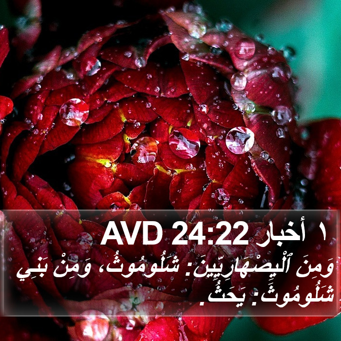 ١ أخبار 24:22 AVD Bible Study