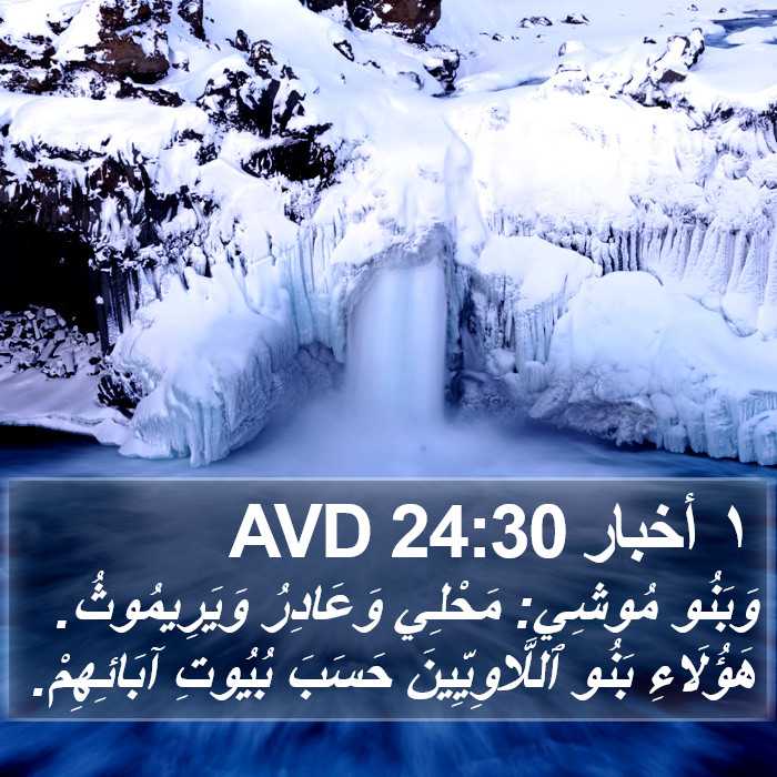 ١ أخبار 24:30 AVD Bible Study