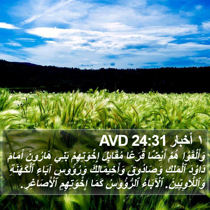 ١ أخبار 24:31 AVD Bible Study
