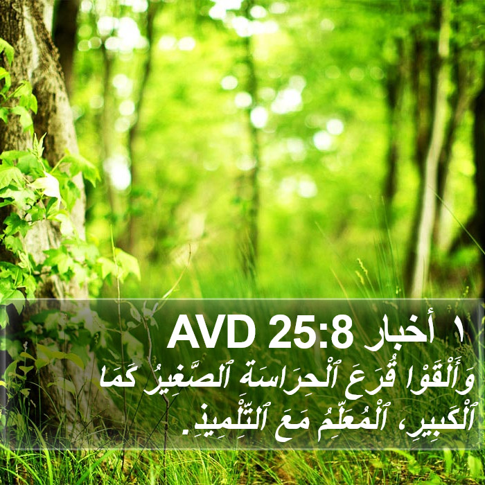١ أخبار 25:8 AVD Bible Study