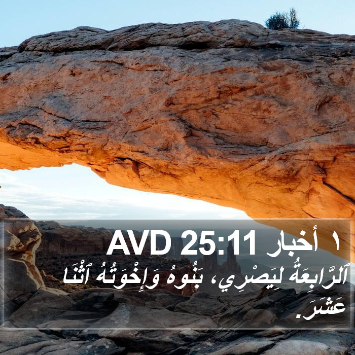 ١ أخبار 25:11 AVD Bible Study
