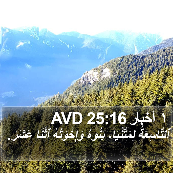 ١ أخبار 25:16 AVD Bible Study