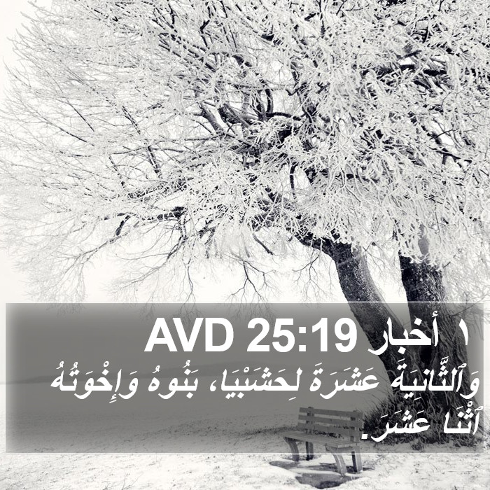 ١ أخبار 25:19 AVD Bible Study
