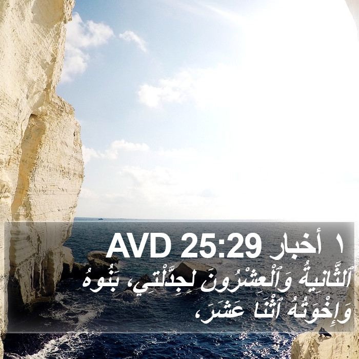 ١ أخبار 25:29 AVD Bible Study