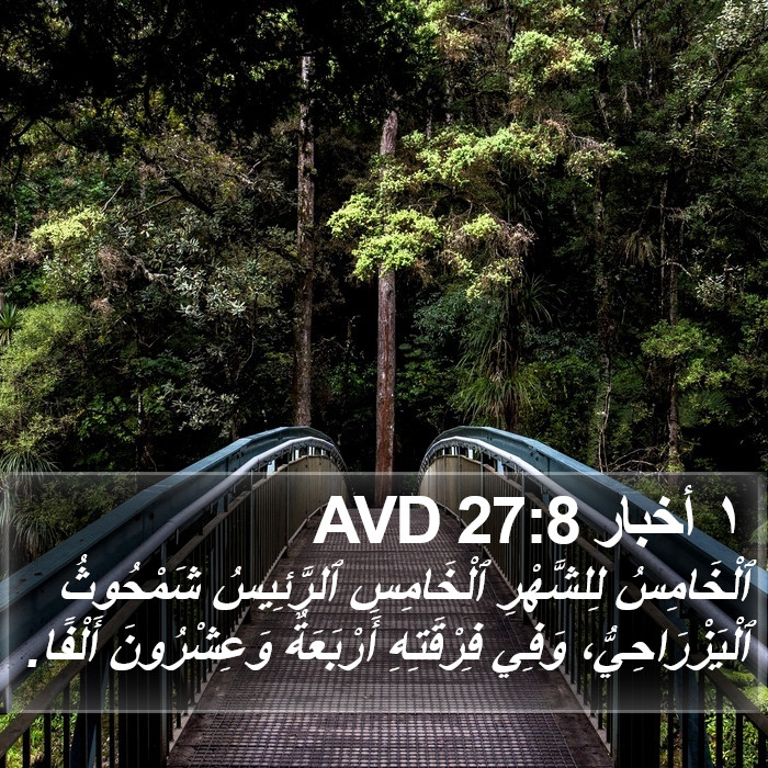 ١ أخبار 27:8 AVD Bible Study