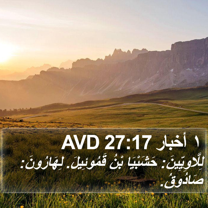 ١ أخبار 27:17 AVD Bible Study