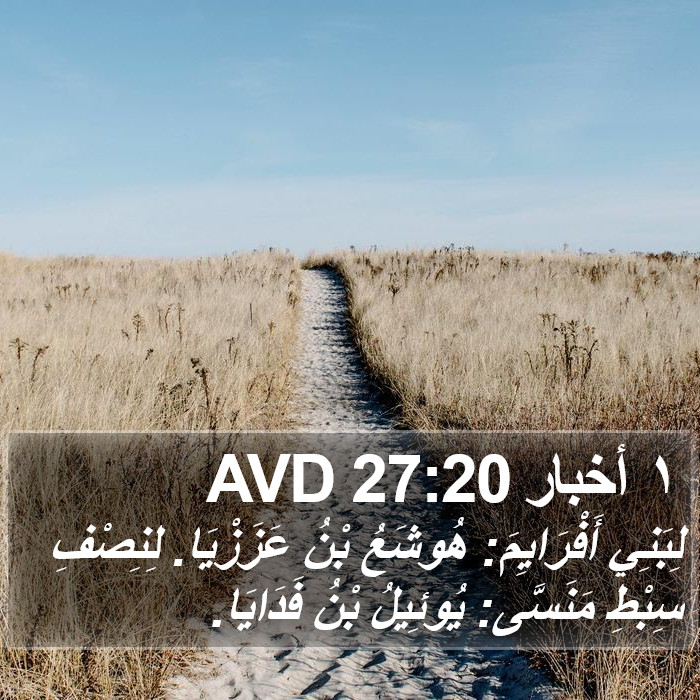 ١ أخبار 27:20 AVD Bible Study