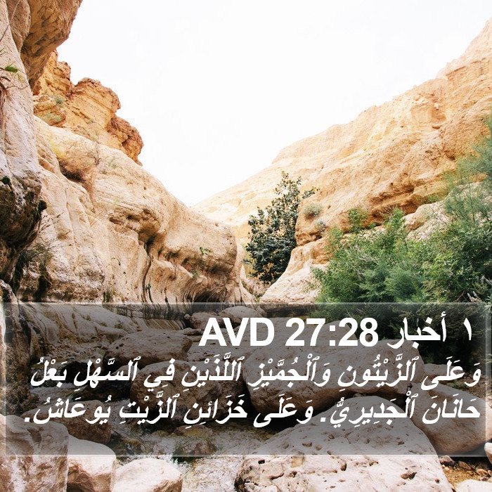 ١ أخبار 27:28 AVD Bible Study