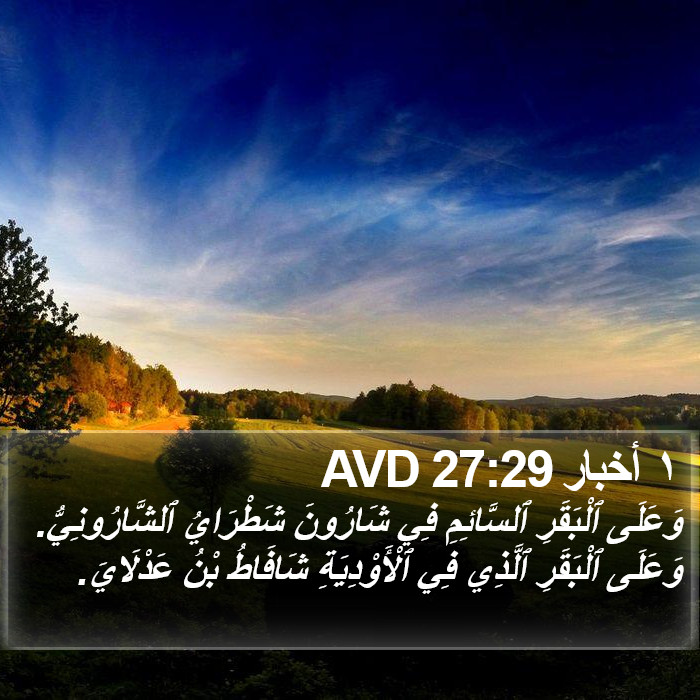 ١ أخبار 27:29 AVD Bible Study