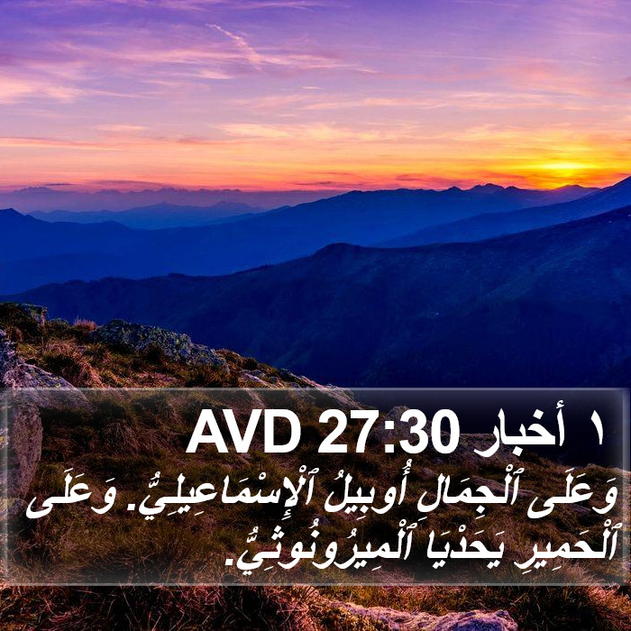 ١ أخبار 27:30 AVD Bible Study