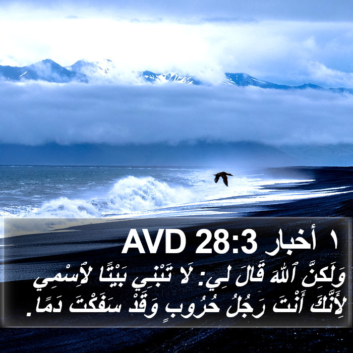 ١ أخبار 28:3 AVD Bible Study