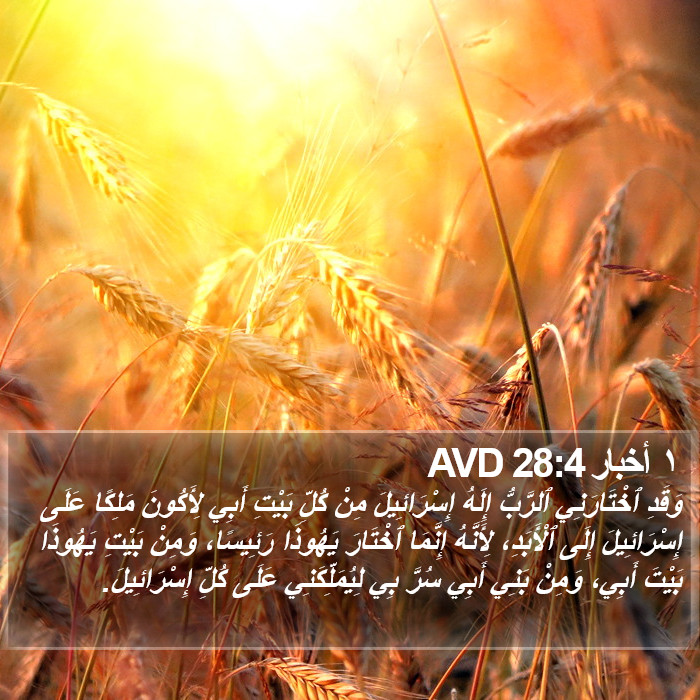 ١ أخبار 28:4 AVD Bible Study