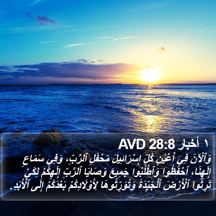 ١ أخبار 28:8 AVD Bible Study
