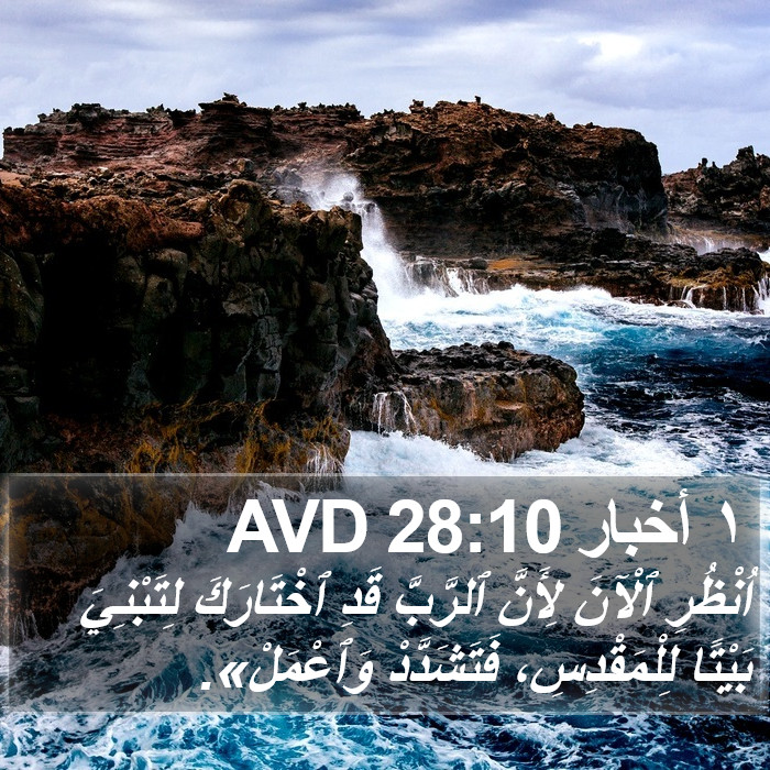 ١ أخبار 28:10 AVD Bible Study