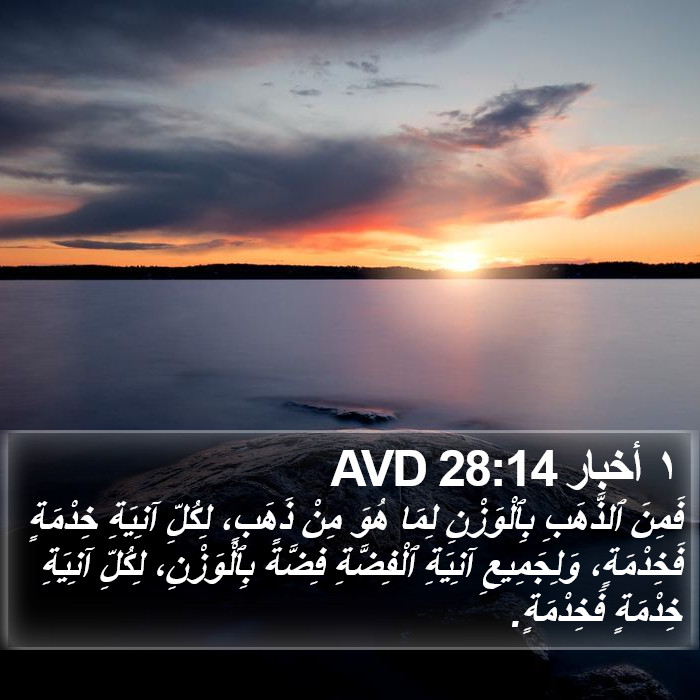 ١ أخبار 28:14 AVD Bible Study