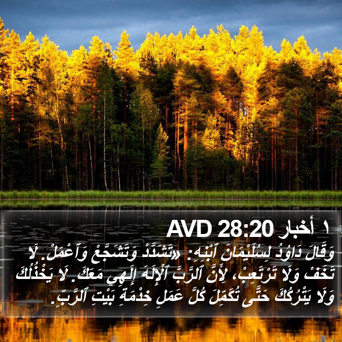 ١ أخبار 28:20 AVD Bible Study