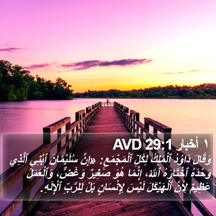 ١ أخبار 29:1 AVD Bible Study