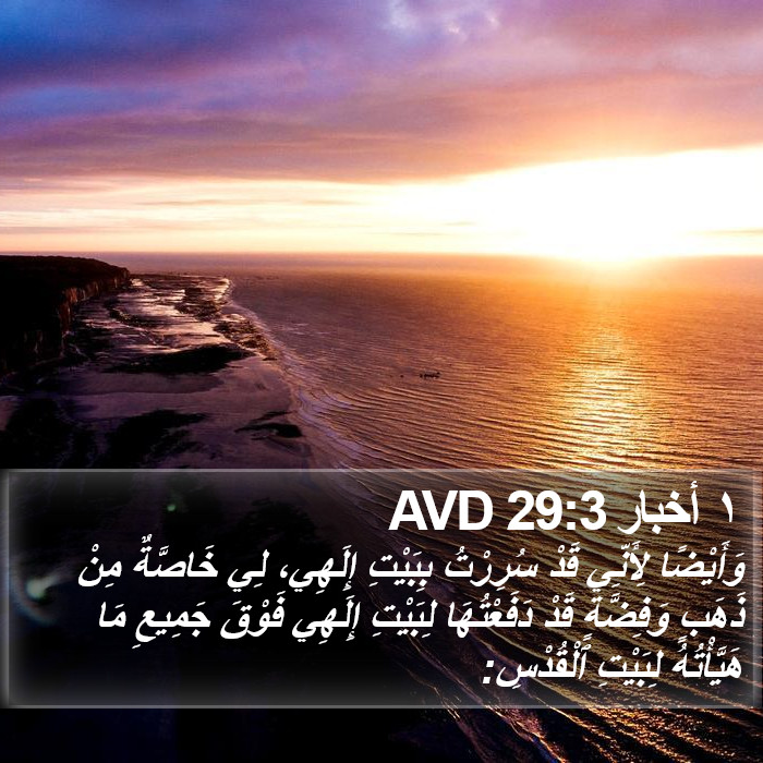 ١ أخبار 29:3 AVD Bible Study