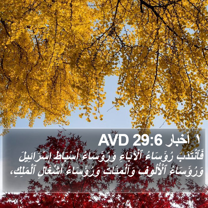 ١ أخبار 29:6 AVD Bible Study