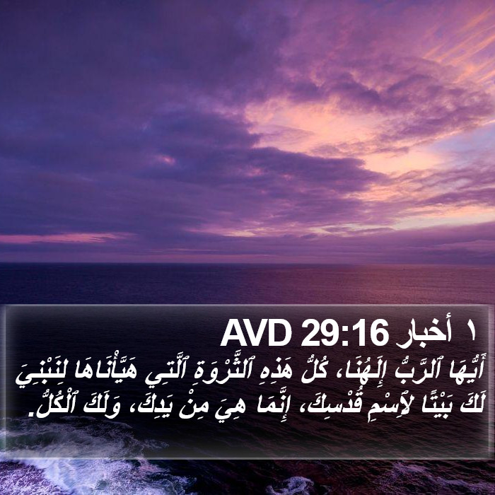 ١ أخبار 29:16 AVD Bible Study