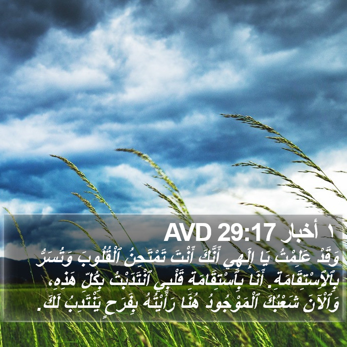 ١ أخبار 29:17 AVD Bible Study