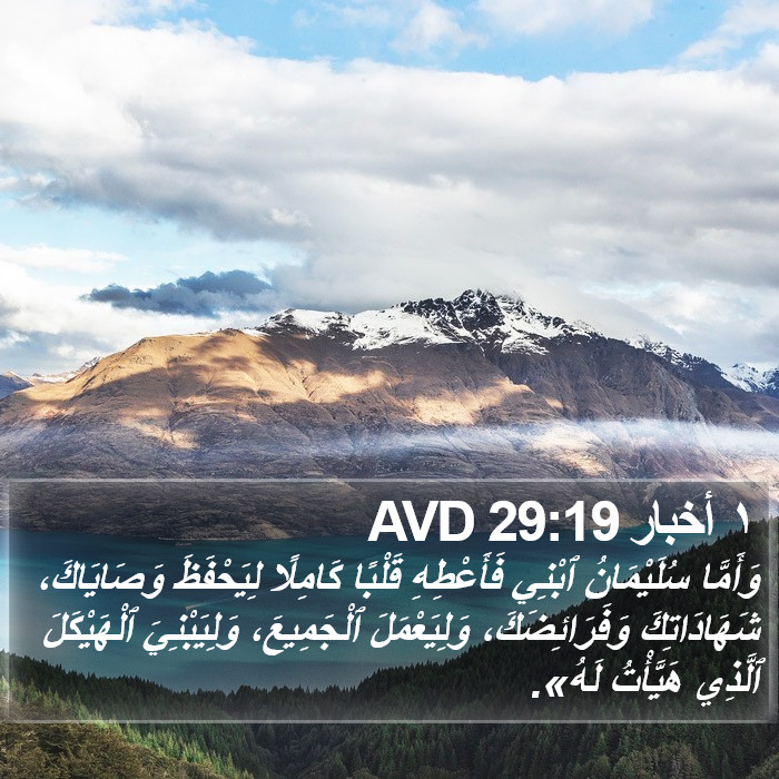 ١ أخبار 29:19 AVD Bible Study