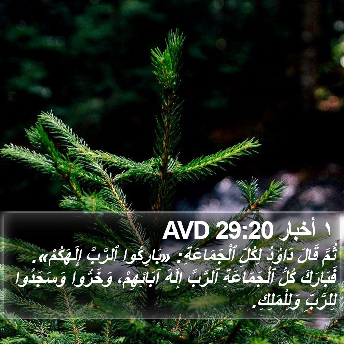 ١ أخبار 29:20 AVD Bible Study