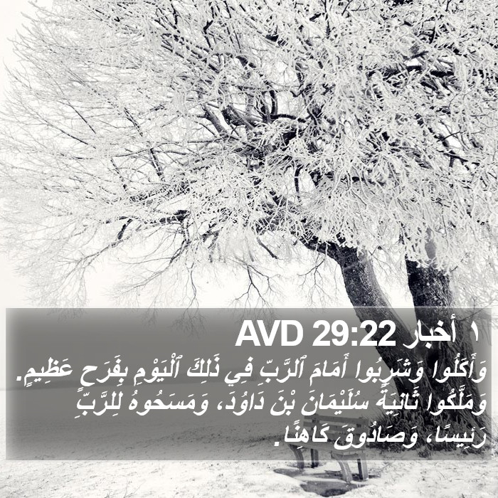 ١ أخبار 29:22 AVD Bible Study