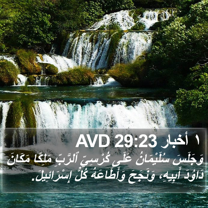 ١ أخبار 29:23 AVD Bible Study