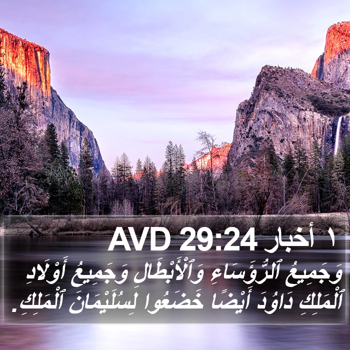 ١ أخبار 29:24 AVD Bible Study