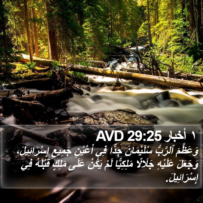 ١ أخبار 29:25 AVD Bible Study