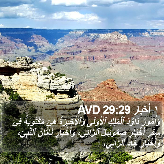 ١ أخبار 29:29 AVD Bible Study