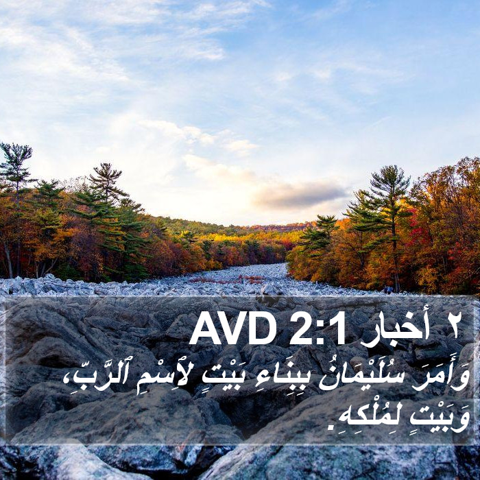 ٢ أخبار 2:1 AVD Bible Study