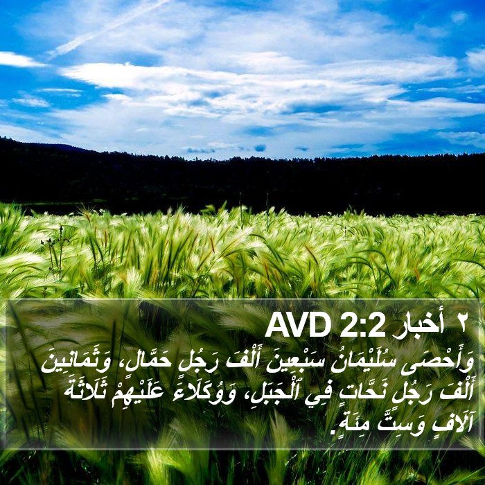 ٢ أخبار 2:2 AVD Bible Study