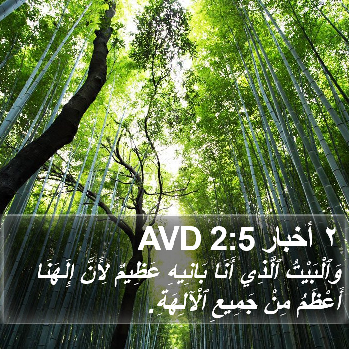 ٢ أخبار 2:5 AVD Bible Study