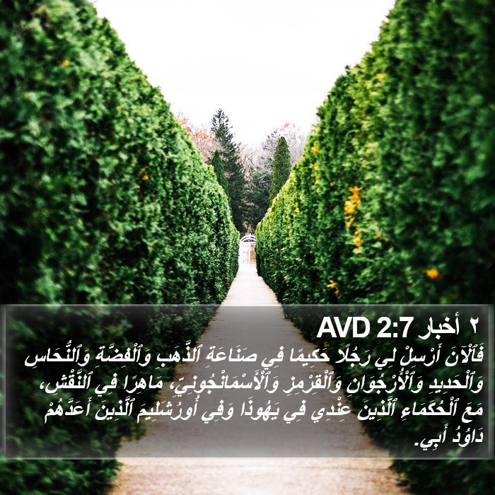 ٢ أخبار 2:7 AVD Bible Study