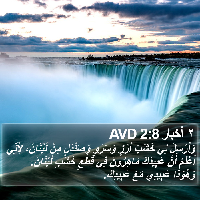 ٢ أخبار 2:8 AVD Bible Study