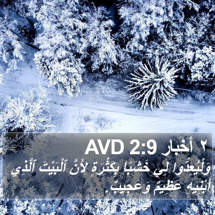 ٢ أخبار 2:9 AVD Bible Study