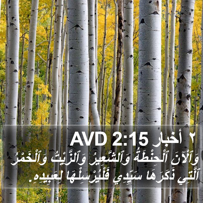 ٢ أخبار 2:15 AVD Bible Study