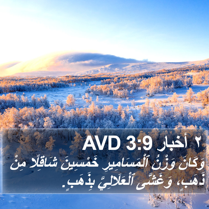 ٢ أخبار 3:9 AVD Bible Study