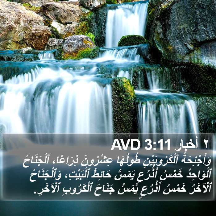 ٢ أخبار 3:11 AVD Bible Study