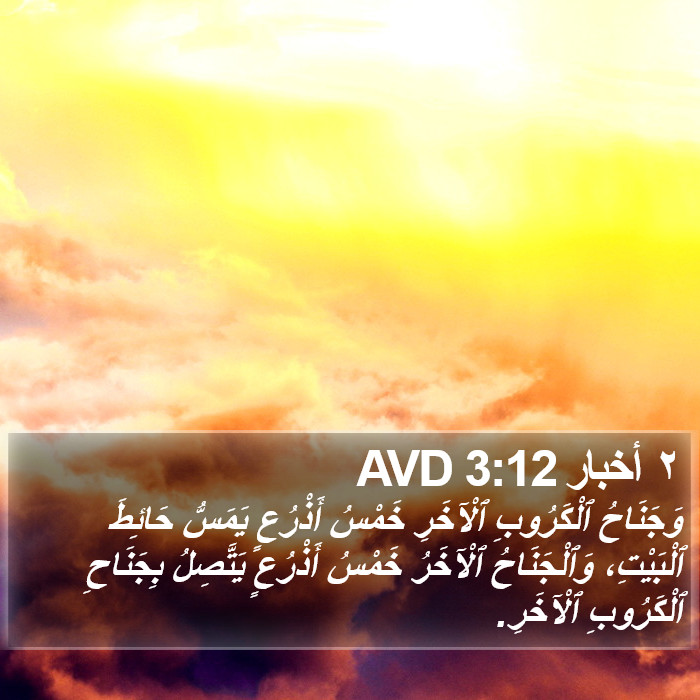 ٢ أخبار 3:12 AVD Bible Study